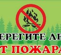 В этом году в Сахалинской области уже произошло 27 лесных пожаров