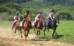 Спорт