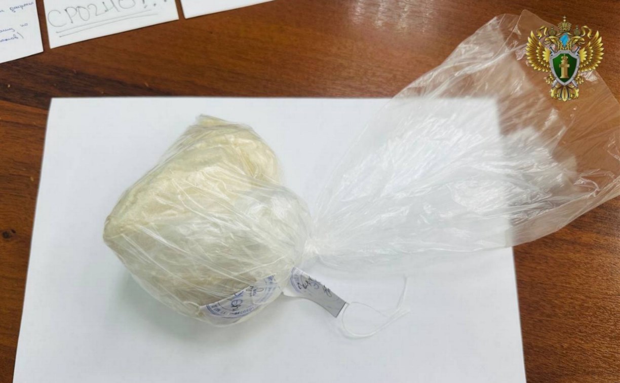 Супруги из Благовещенска надолго лишись свободы за попытку провезти героин на Сахалин