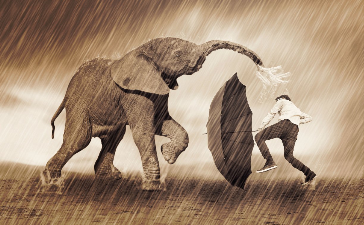 Тест: 5 забавных задачек для самых сообразительных