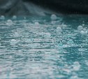 Сильный дождь затронет 10 районов Сахалина: спасатели просят жителей не покидать города и сёла