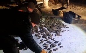 Происшествия