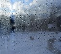 Снег, дождь и немного тепла: погода в районах Сахалинской области 8 мая