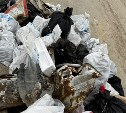 "Заслуживают особого уважения": южносахалинцы выразили благодарность людям, спасшим речку от мусора