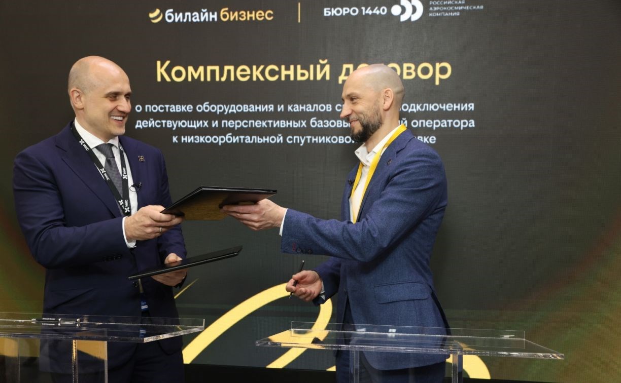 Билайн зарегистрировал платформу VEGA в реестре отечественного ПО