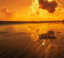Тепло даже ночью, днём +31°C: прогноз погоды в Сахалинской области на 21 июля