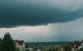 Общество