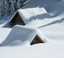 Большинство районов Сахалинской области засыплет снегом: подробный прогноз погоды на 14 декабря