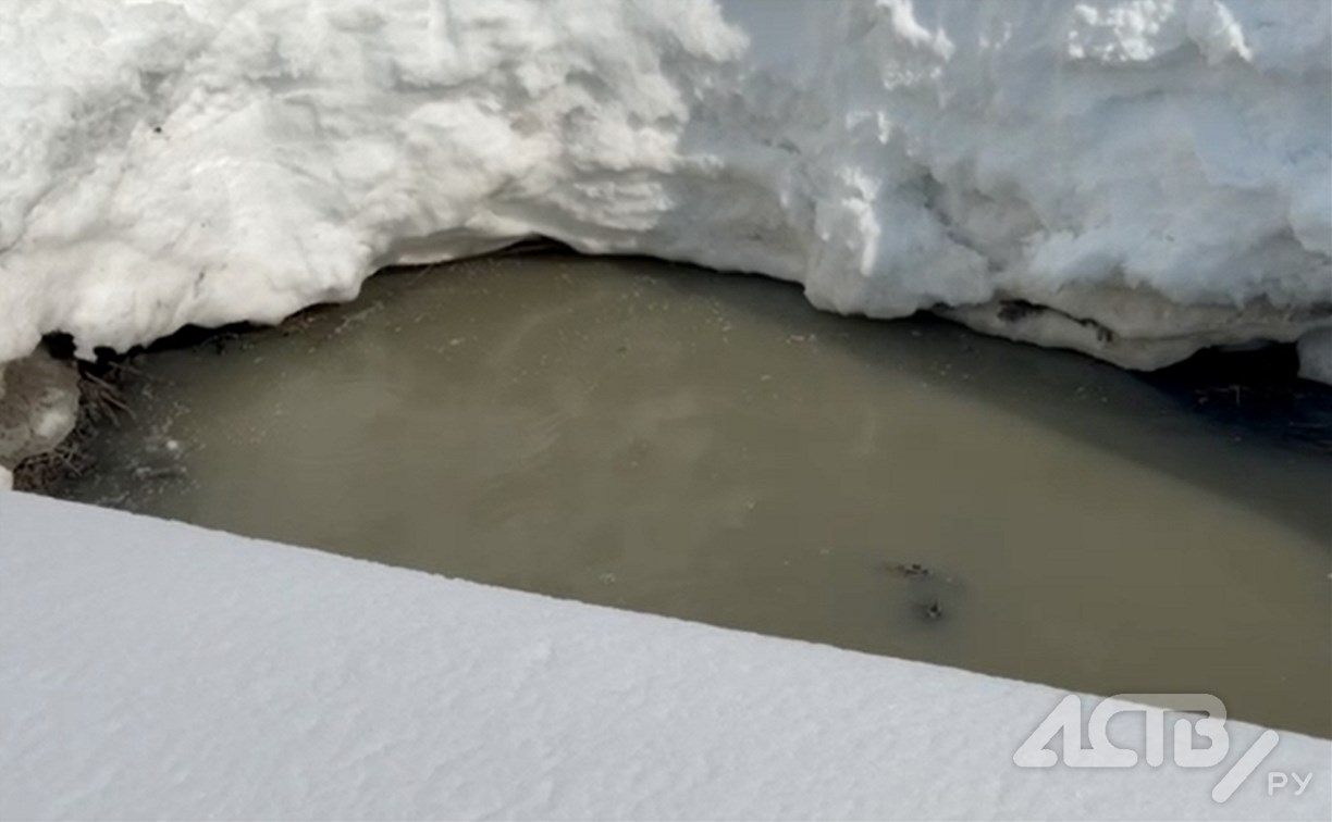 "Запах жуткий": в Новотроицком канализационные стоки сливают в канаву 