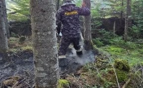 Происшествия