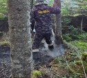 Сотрудники рыбоохраны на Сахалине потушили возгорание в лесу 