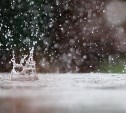 На следующей неделе циклон принесет на юг Сахалина дожди 