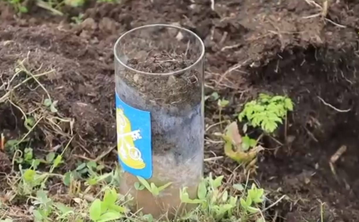 Школьники из Раздольного отвезут частичку Корсакова в Подмосковье