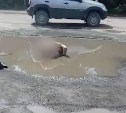 Голый мужчина купался в луже в Южно-Сахалинске