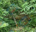 Появились подробности ДТП в Ёлочках, где в овраге обнаружили тело