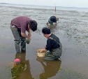 Бентос лагуны Буссе впервые за последние 63 года исследовали по заказу компании "Гольфстрим"