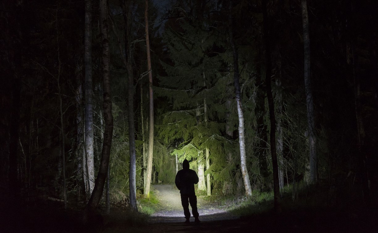 Человек в темном лесу с фонариком