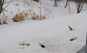 Общество