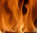 Пожар уничтожил 1 250 "квадратов" на полигоне в Долинске