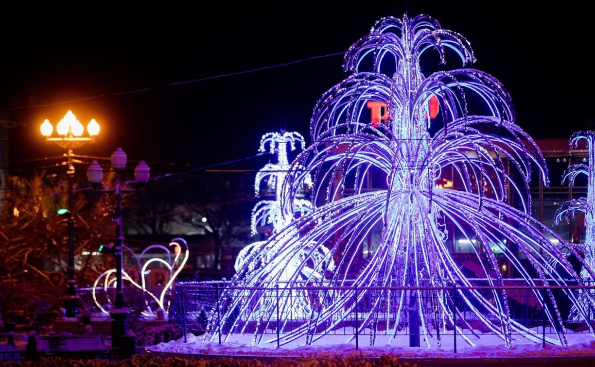 Центром новогодних гуляний в Южно-Сахалинске станет городской парк