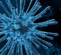 За сутки в Сахалинской области коронавирус подтвердился у 39 человек