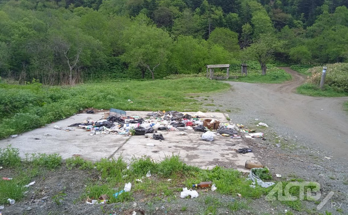 Помойка вместо яблоневого сада: на Сахалине убрали мусорные контейнеры у пешей туристической тропы