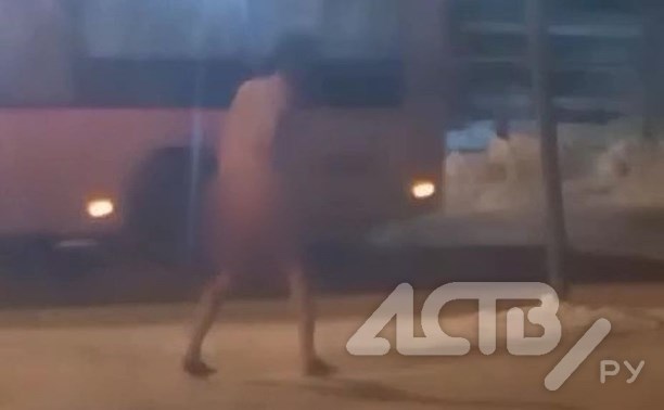 Голый мужчина растерянно бродил около автомобиля ДПС на Сахалине - видео