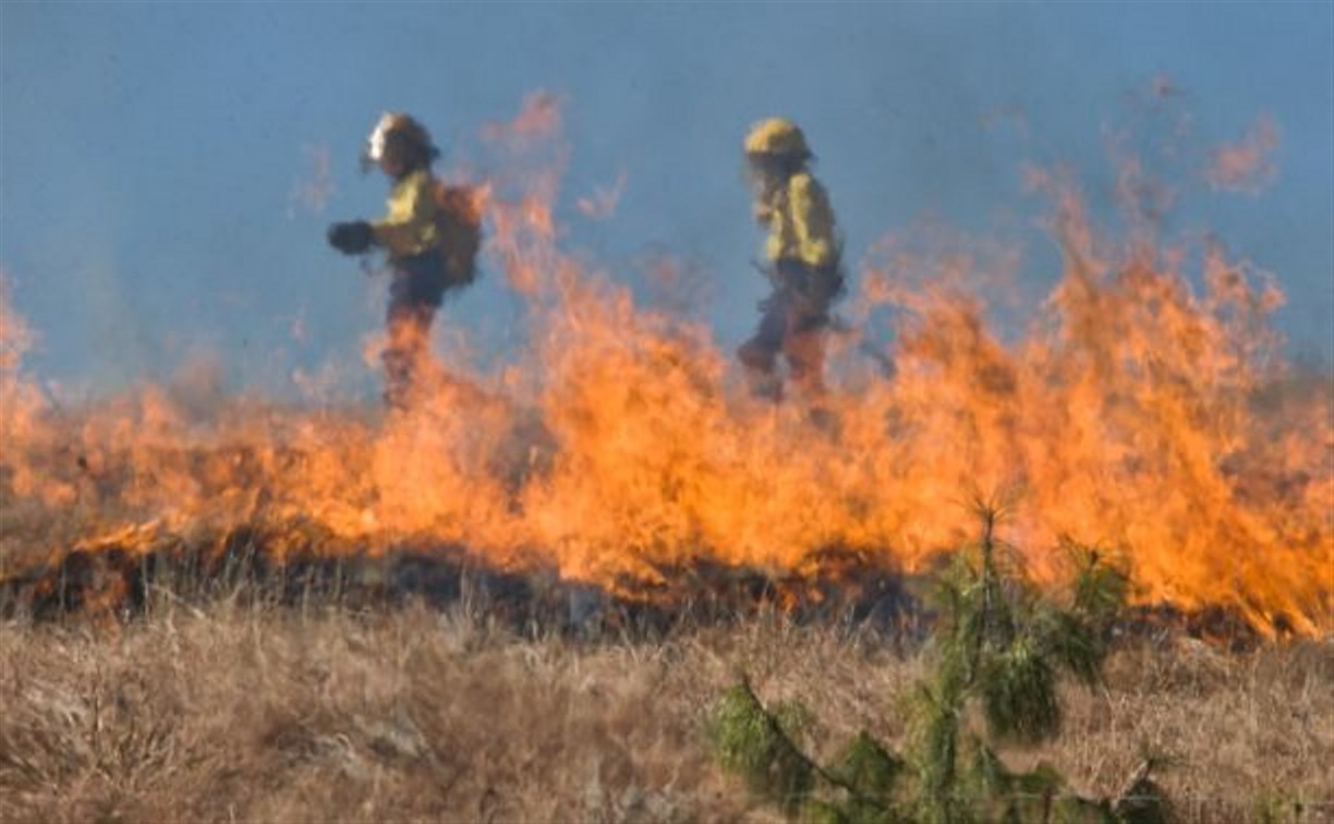 Горящая трава чуть не начала лесной пожар в Ногликском районе