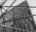 Дождливая и ветреная погода ждет сахалинцев в первые выходные октября