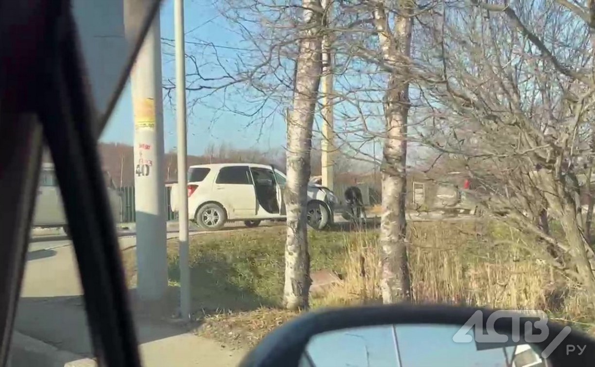 "Нормально припечатался": автомобиль врезался в столб на выезде из Троицкого