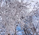 На севере Сахалина ожидают снег, на юге - дожди