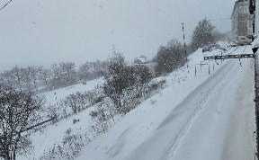 Общество