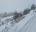 Сильный снег и плюсовая температура: прогноз погоды для всех районов Сахалинской области на 6 февраля