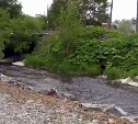 Более 10 участков рек и ручьев Южно-Сахалинска привели в порядок с начала года 