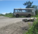 В Смирныховском районе автобус сбил мотоциклиста (ФОТО)