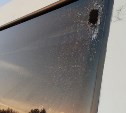 Проделал дырку в стекле: очевидцев ДТП с "КамАЗом" и рейсовым автобусом ищут в Южно-Сахалинске