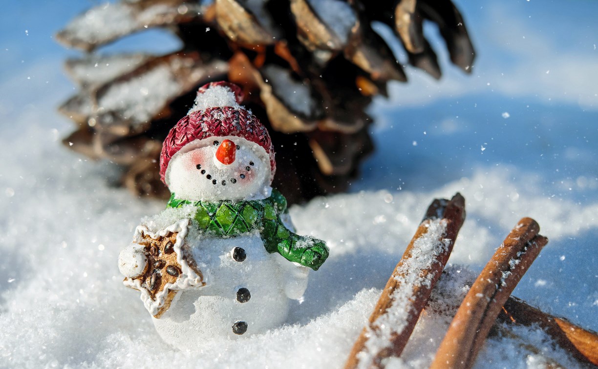 Ещё немного снега: какой будет погода в районах Сахалинской области 21 декабря