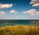 Сахалинцам запретили купаться в Стародубском после исследования проб воды