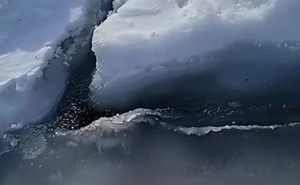 "Опасно и смешно": сахалинец "дирижировал" льдинами в море
