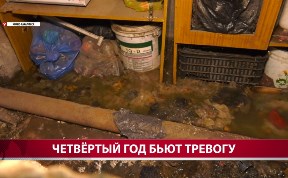Общество