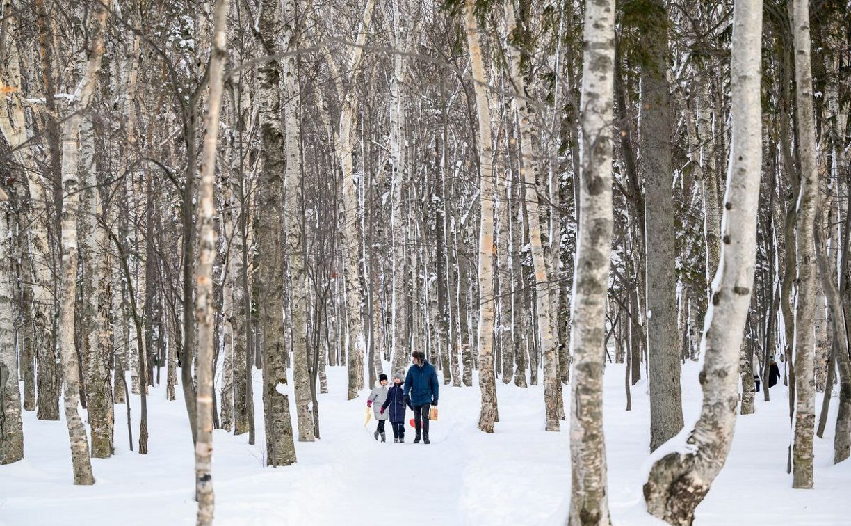 Посетители сообщают об очень скользких дорожках в городском парке Южно-Сахалинска