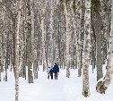 Посетители сообщают об очень скользких дорожках в городском парке Южно-Сахалинска