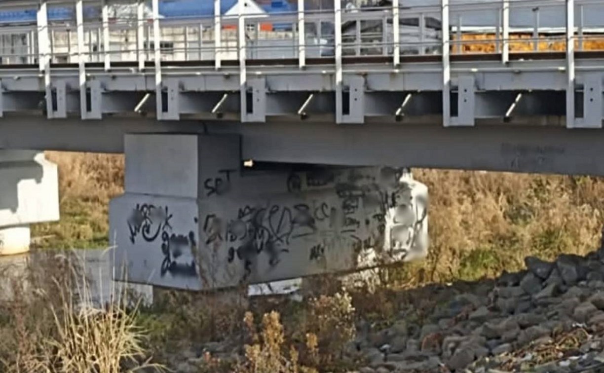 Владельца моста в Южно-Сахалинске заставили ликвидировать запрещенные надписи 