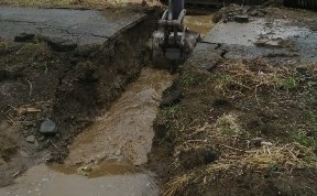 Общество