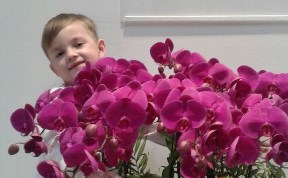Сбор средств для шестилетнего Володи Бойченко закрыт