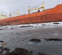 У побережья Сахалина установят боновые заграждения на случай разлива нефтепродуктов с севшего на мель судна