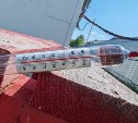 Аномальная жара в Южно-Сахалинске: на солнце до +44, спасатели переведены в режим повышенной готовности