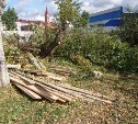 Строительство скандального кафе-бара в Южно-Сахалинске перенесли, а деревья рубить продолжили