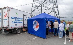 Общество