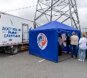 Более 450 тонн свежей рыбы по доступной цене реализовали в Южно-Сахалинске